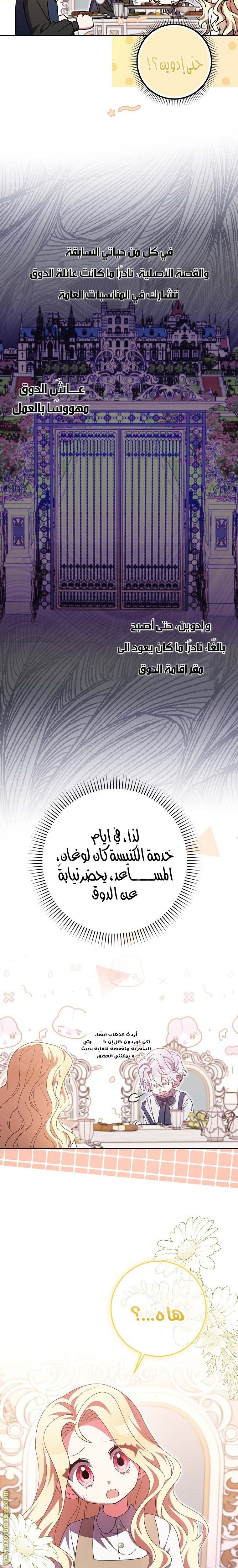 الصفحة 19