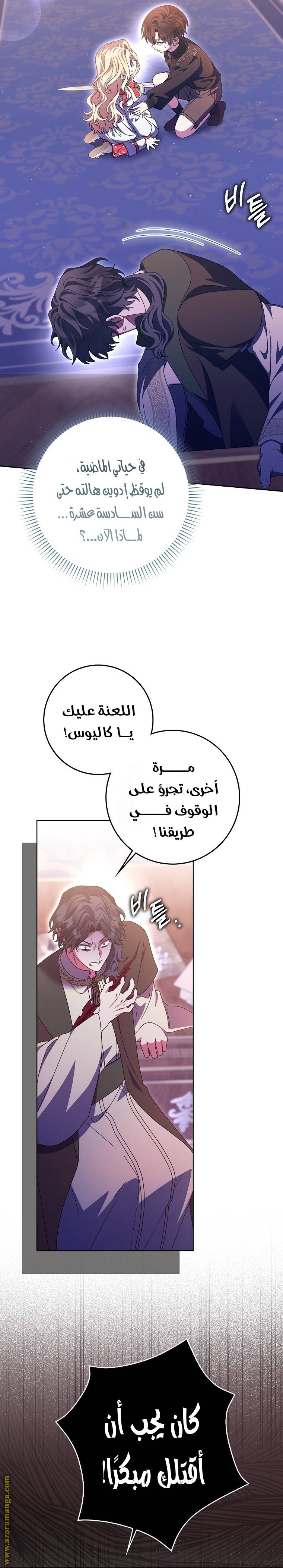 الصفحة 24