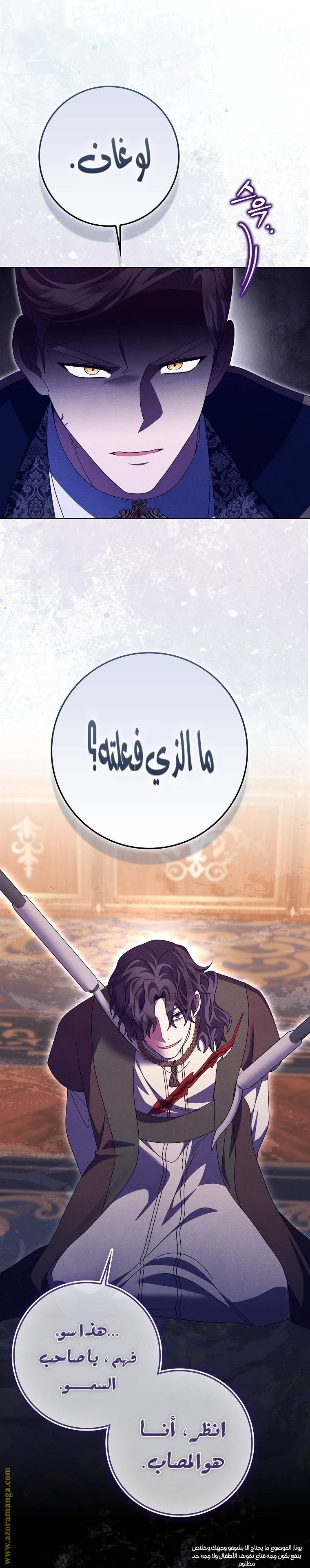 الصفحة 28