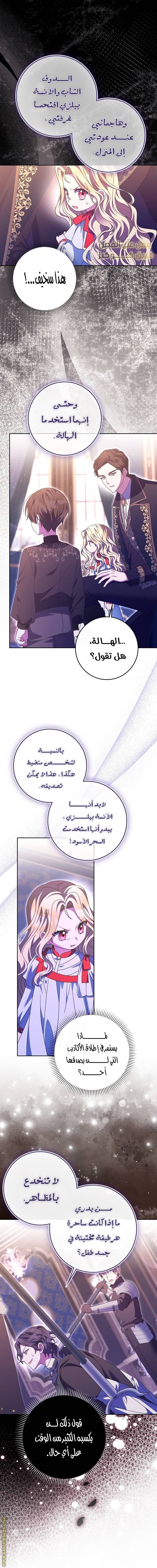 الصفحة 29