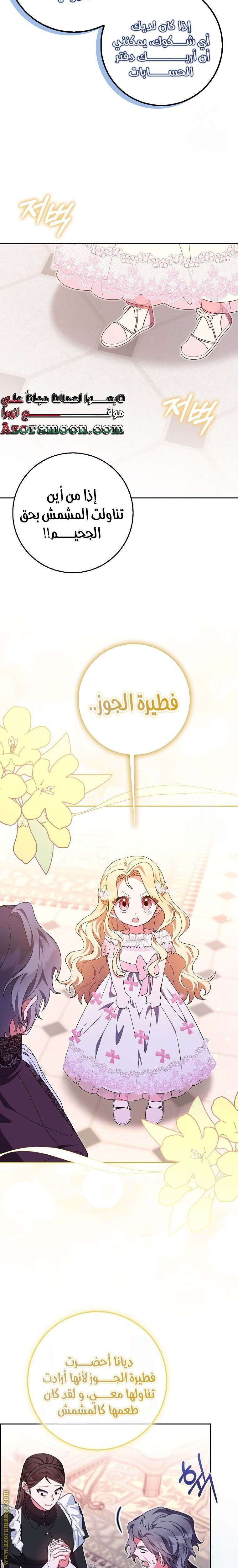 الصفحة 13