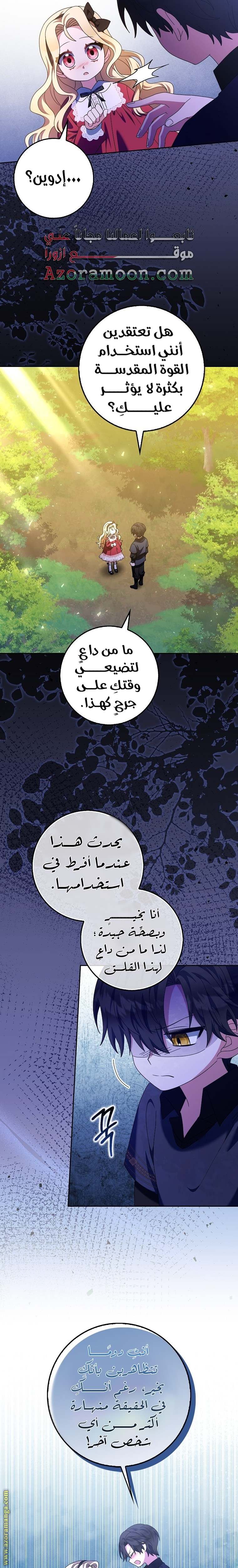 الصفحة 13