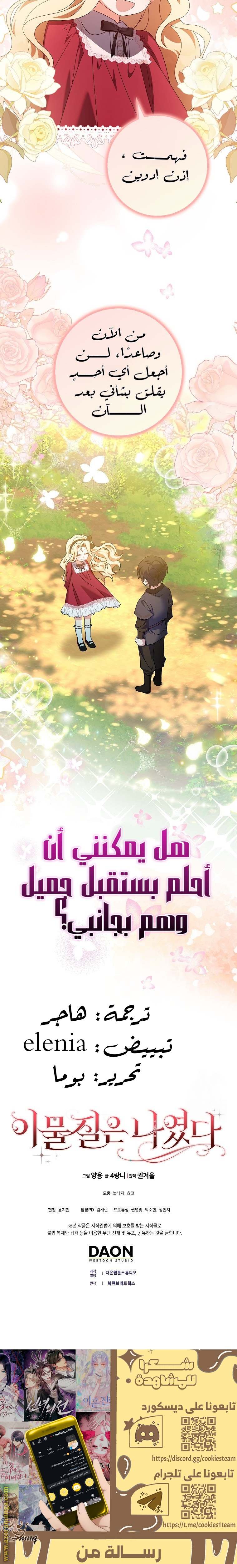 الصفحة 17