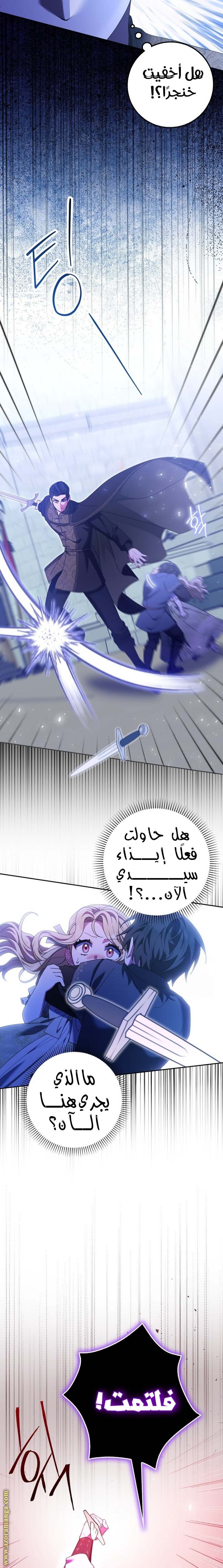 الصفحة 13