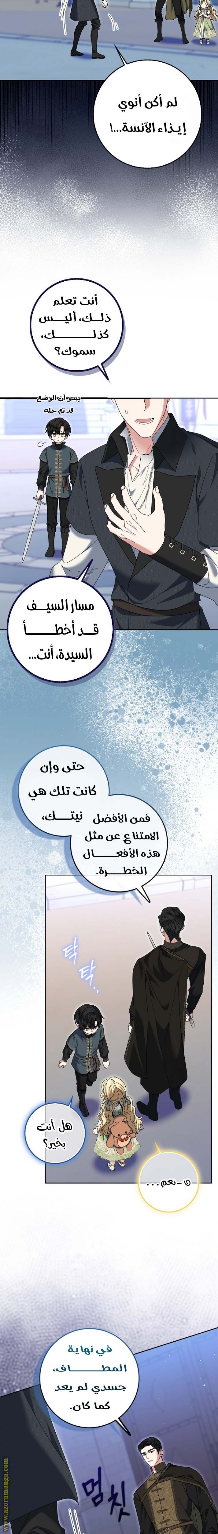 الصفحة 17