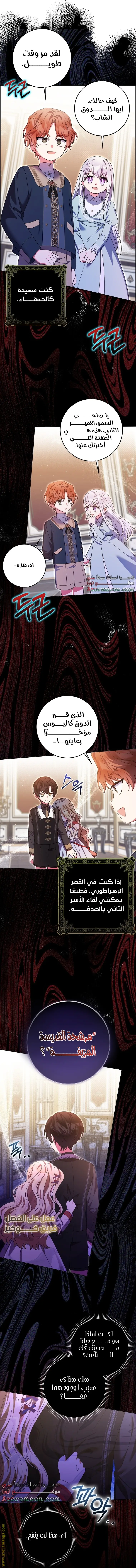 الصفحة 16