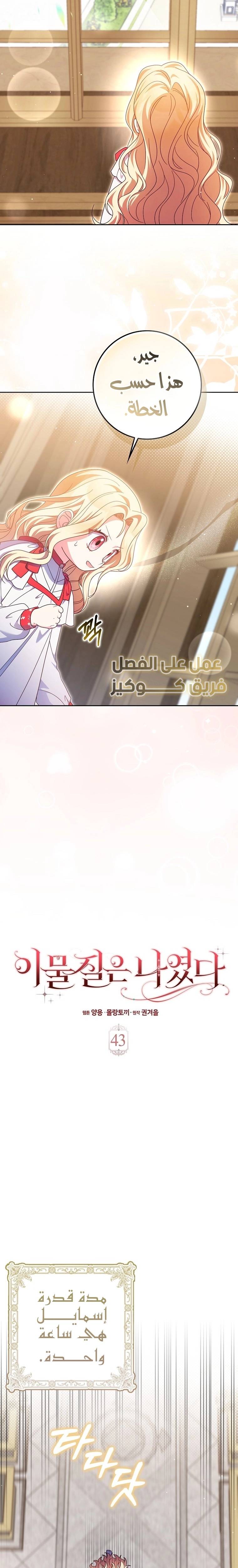 الصفحة 3