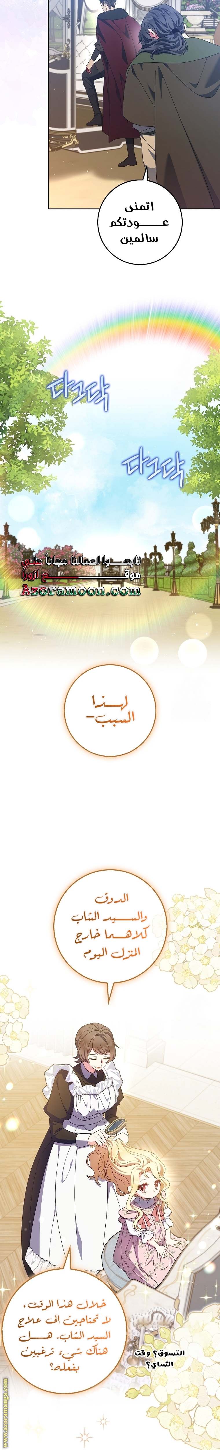 الصفحة 17