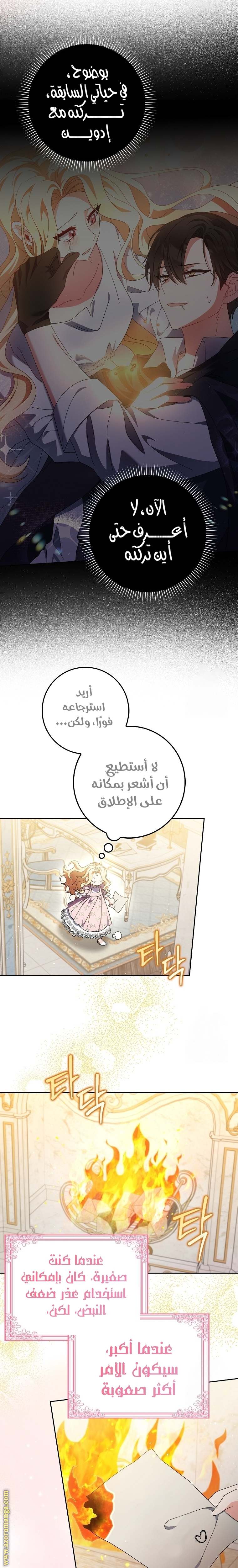 الصفحة 21