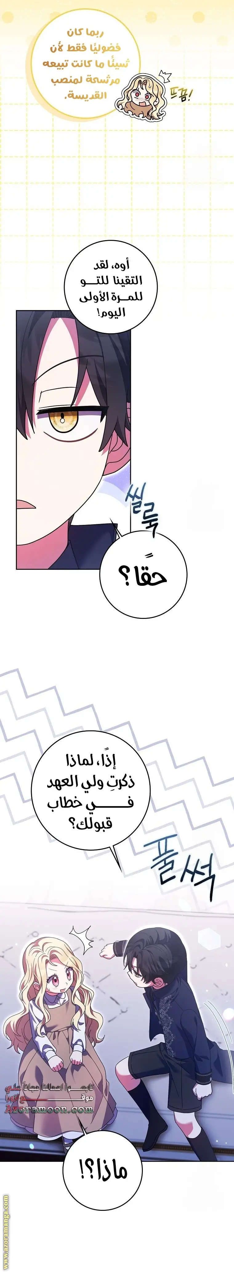 الصفحة 12
