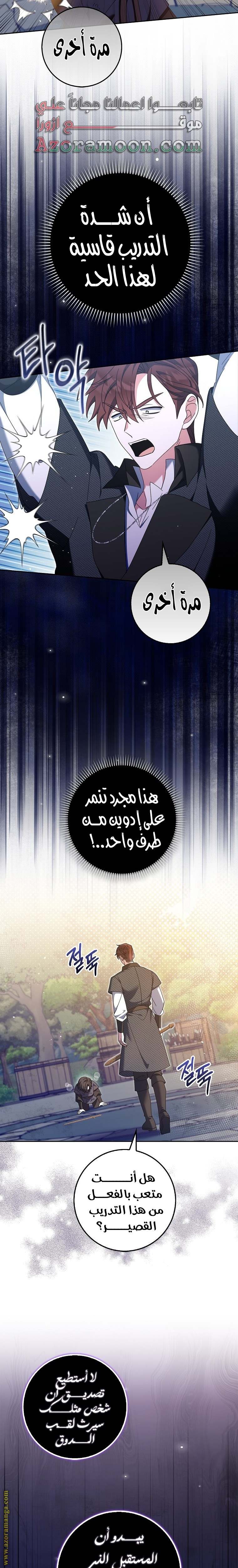 الصفحة 17