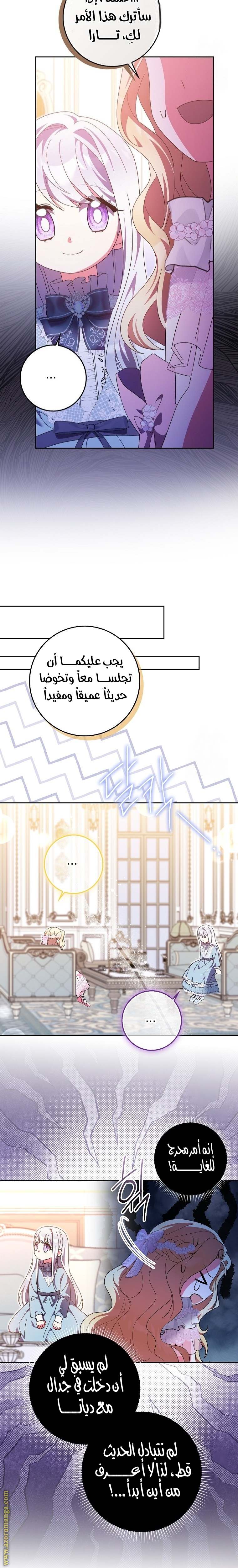 الصفحة 17