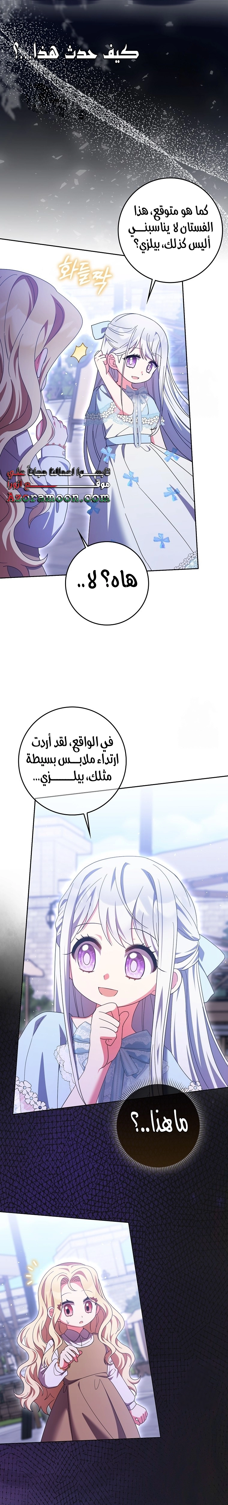 الصفحة 17