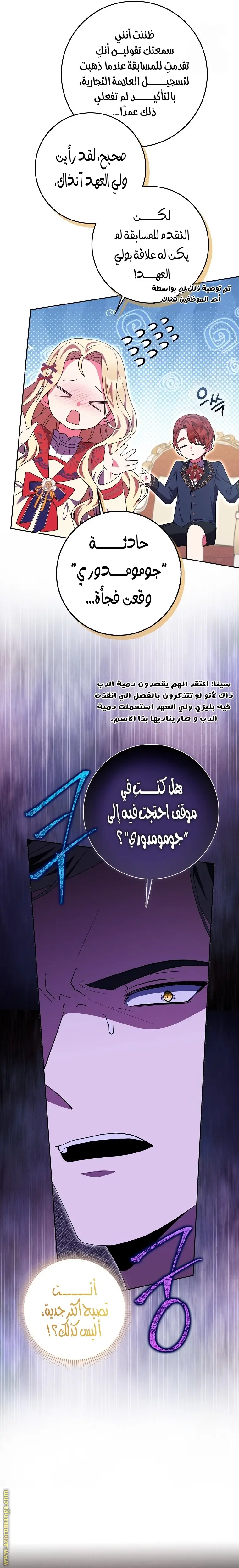 الصفحة 17