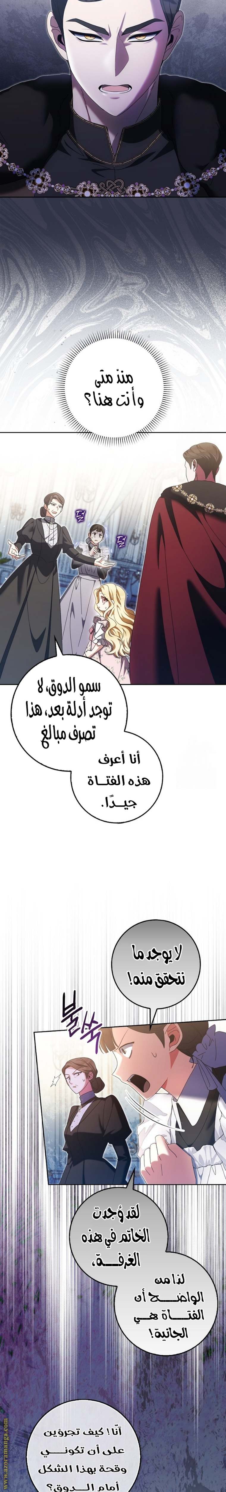 الصفحة 13