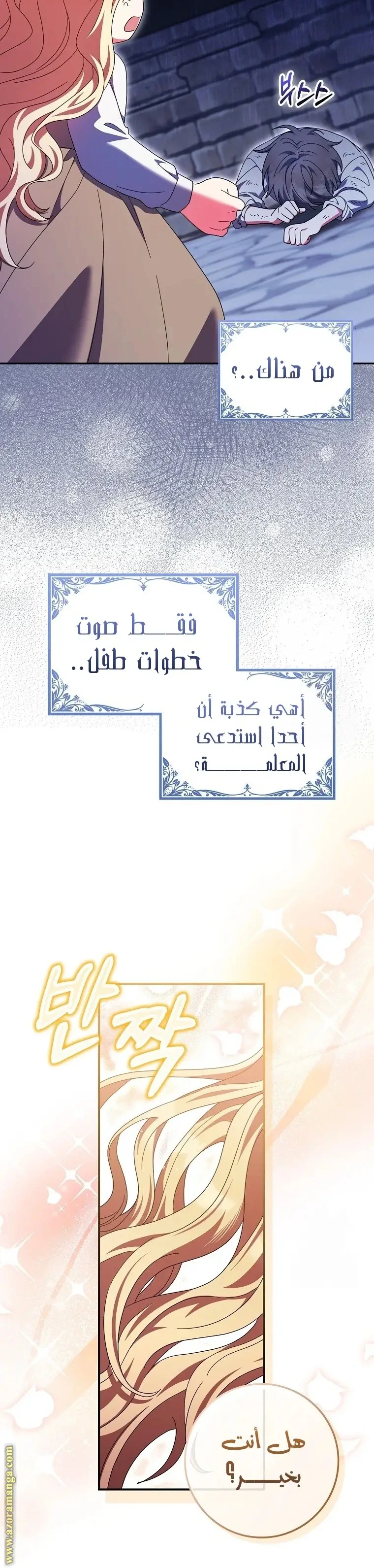 الصفحة 25