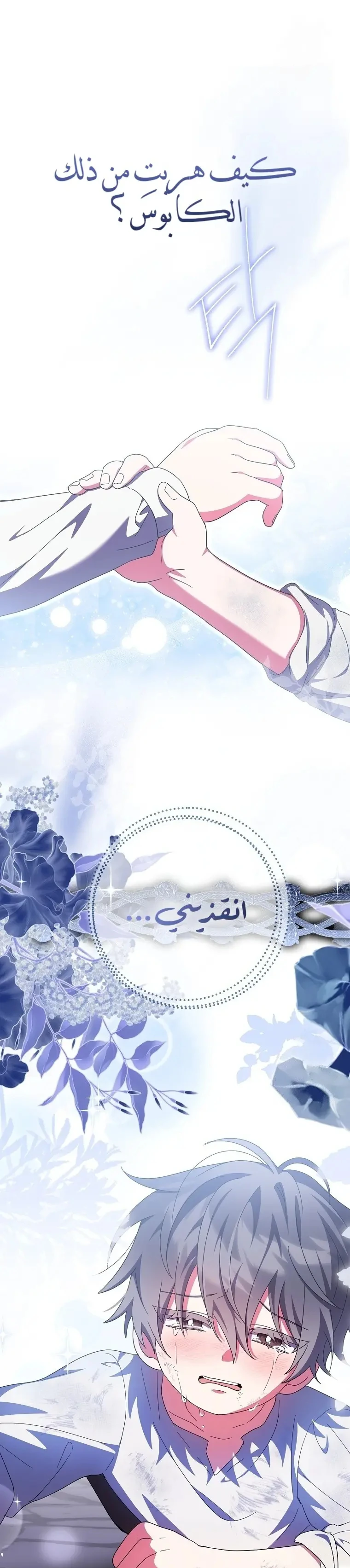 الصفحة 29