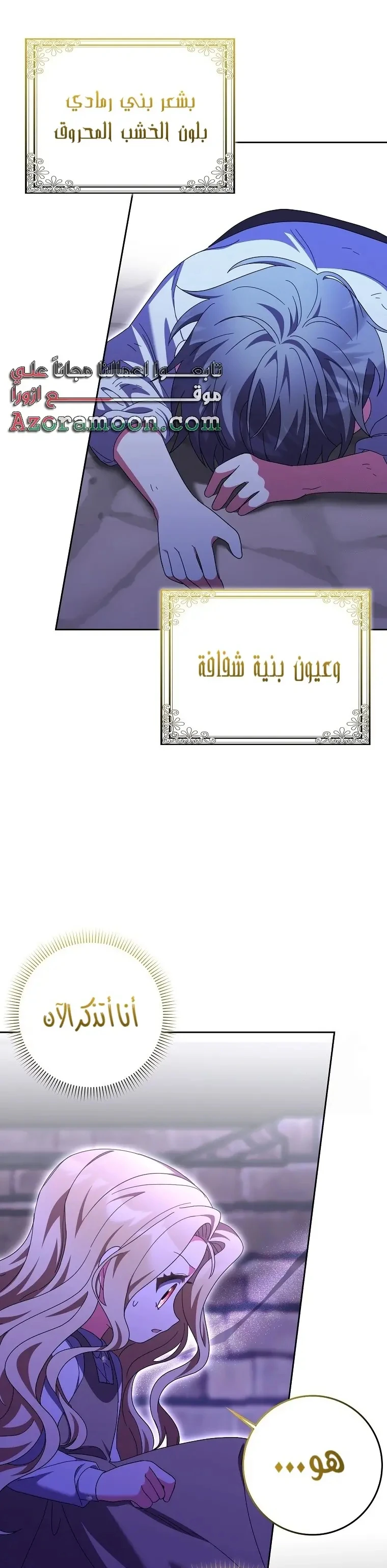 الصفحة 31