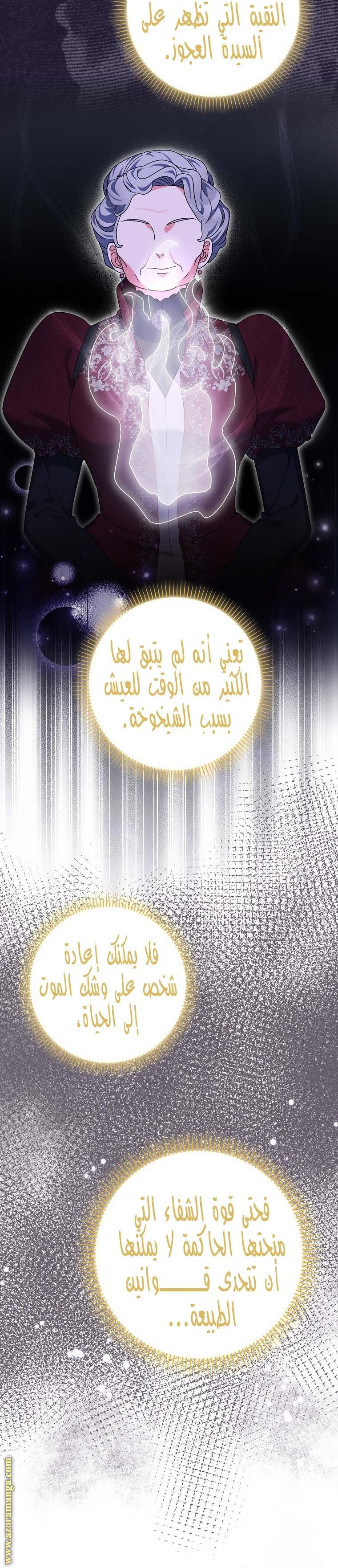 الصفحة 12