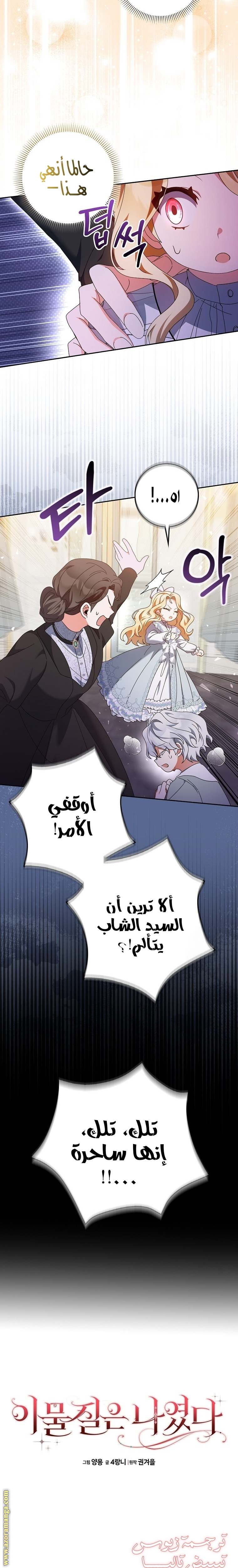الصفحة 25