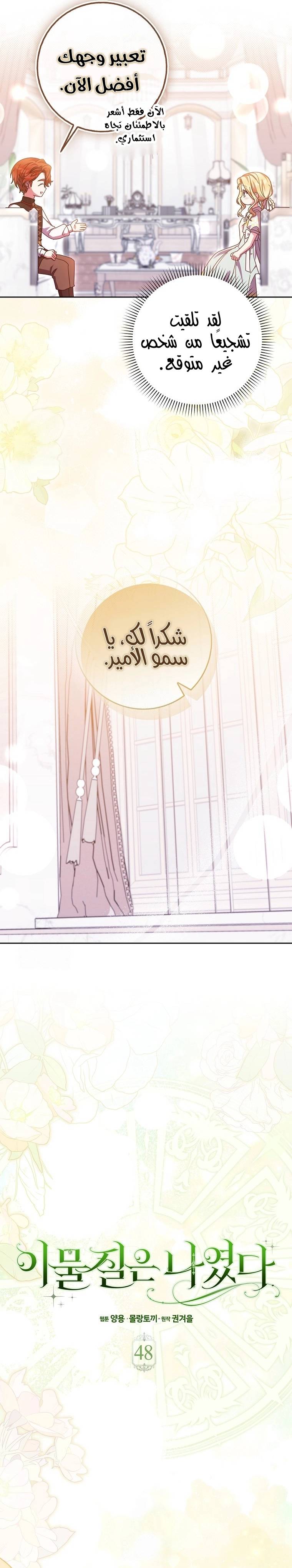 الصفحة 13