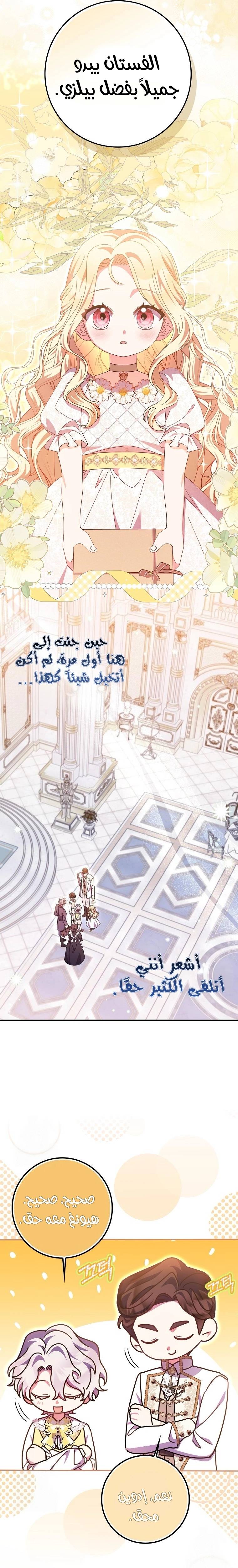 الصفحة 19