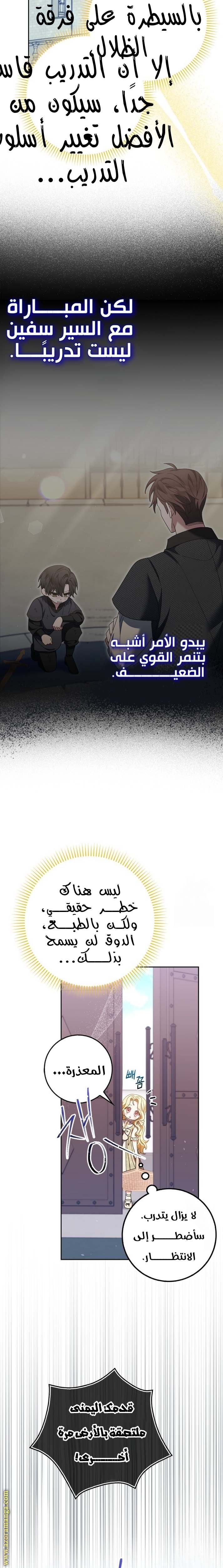 الصفحة 13