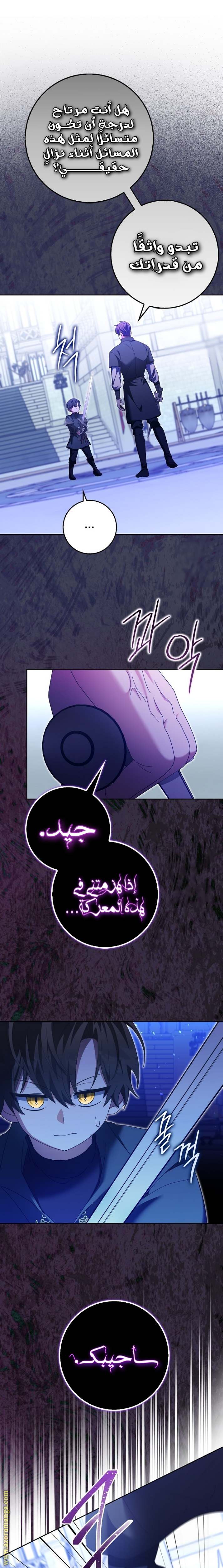 الصفحة 19