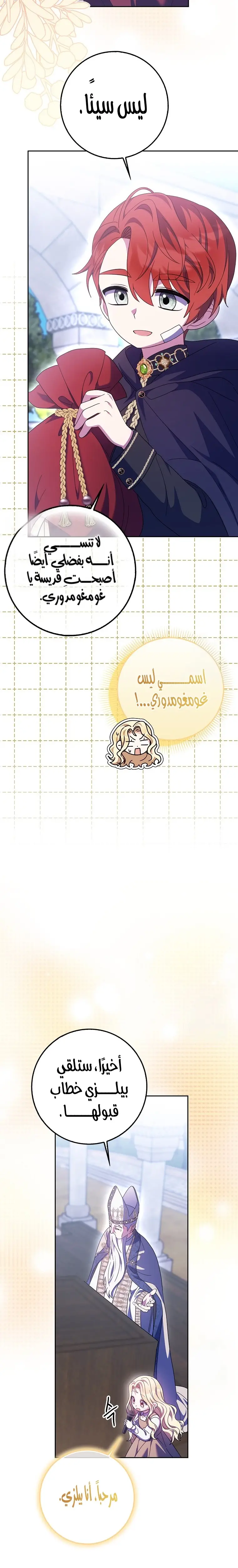 الصفحة 25
