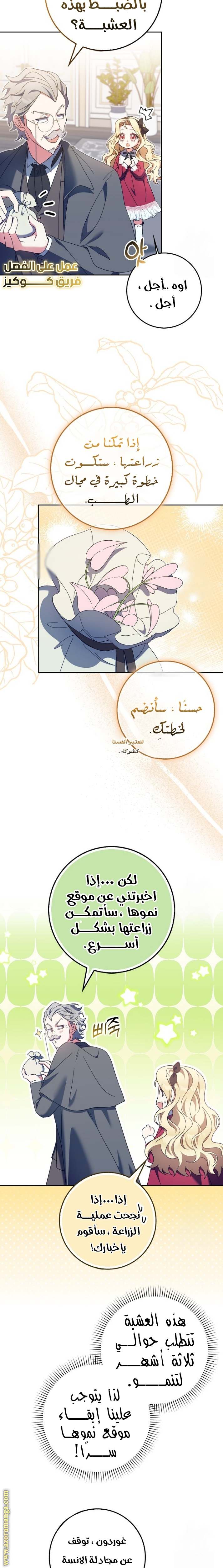 الصفحة 13