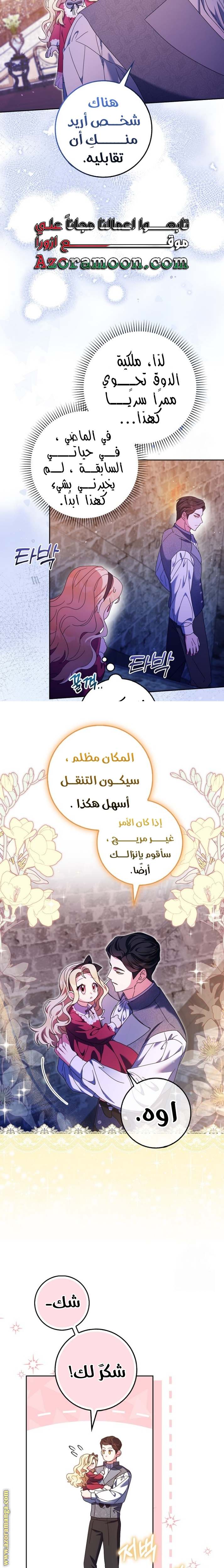 الصفحة 17