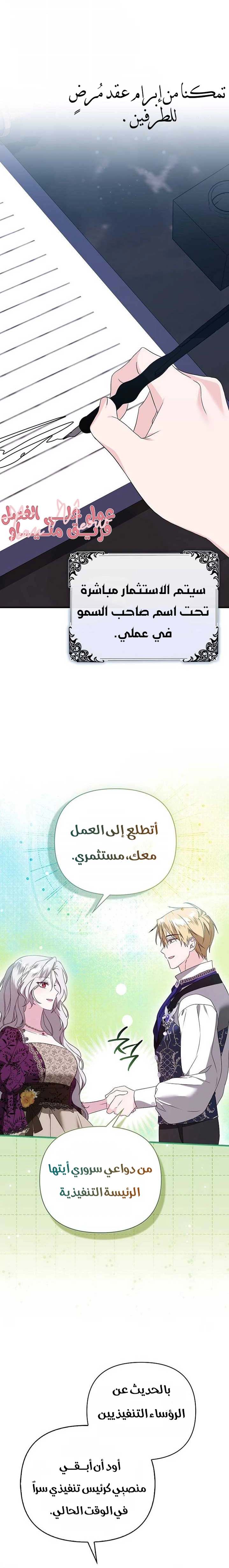 الصفحة 17