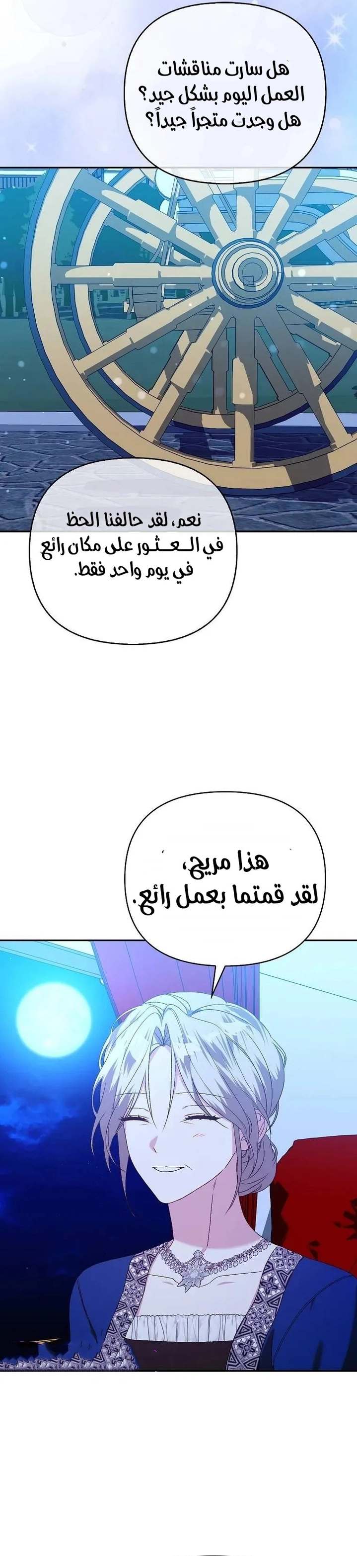 الصفحة 13