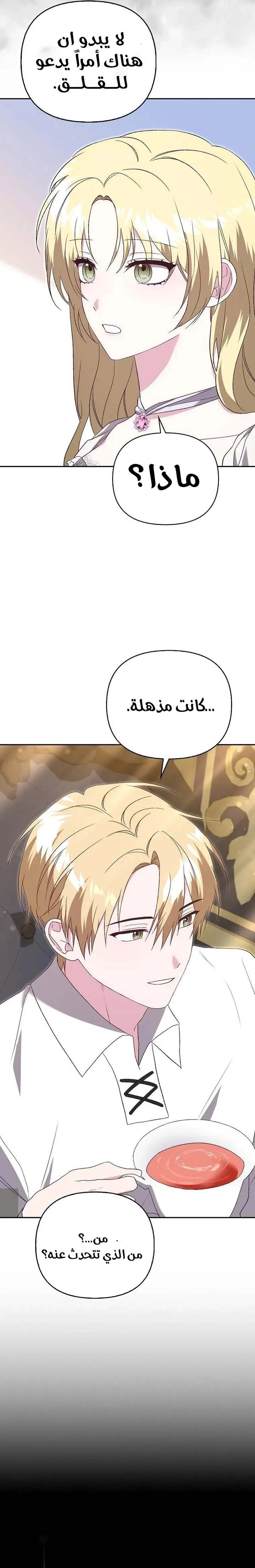 الصفحة 21