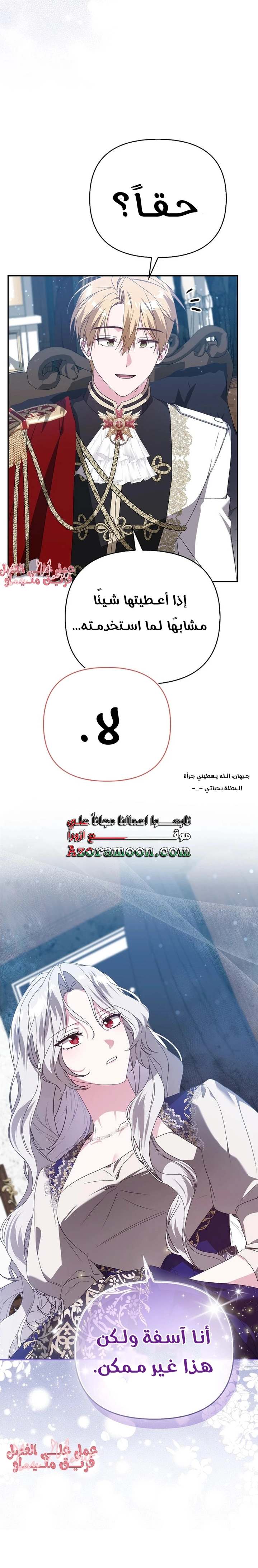 الصفحة 17