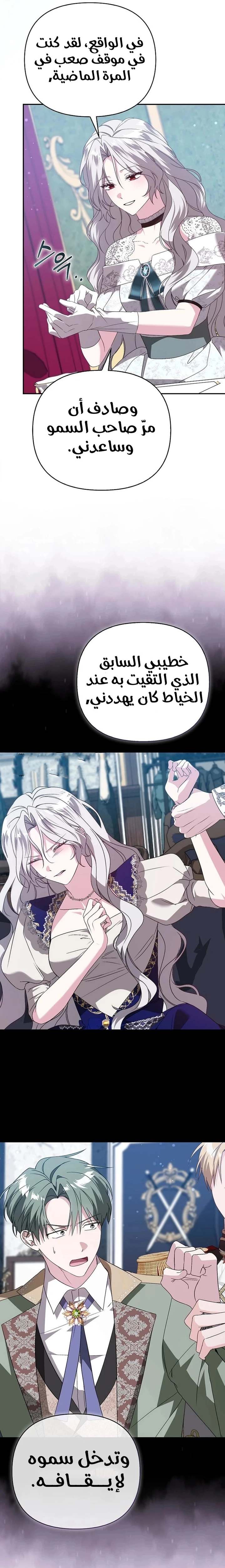 الصفحة 13