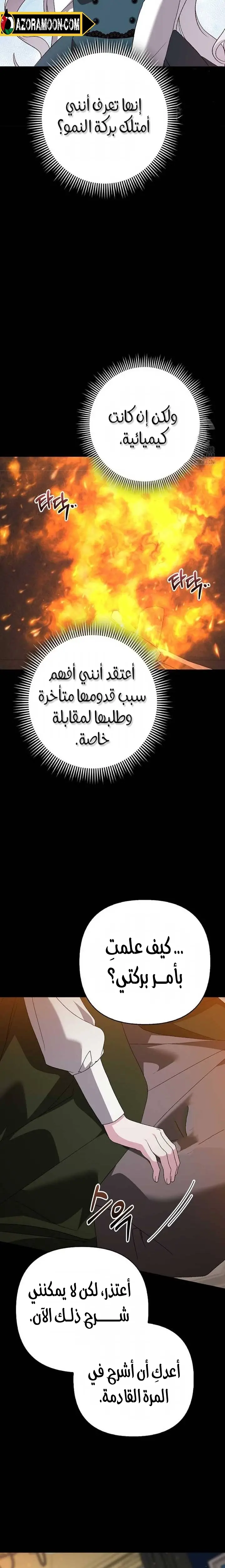 الصفحة 17