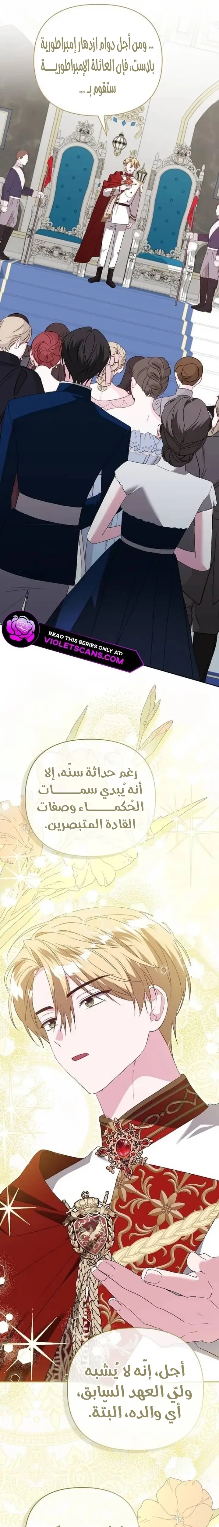 الصفحة 3
