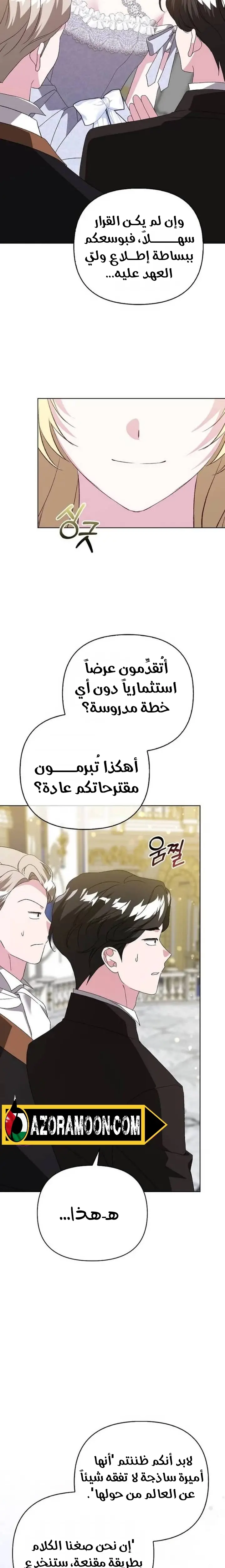 الصفحة 17