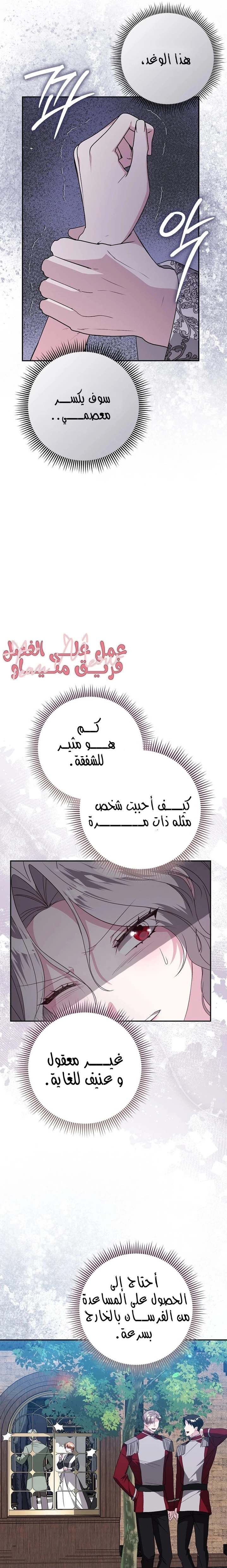 الصفحة 16