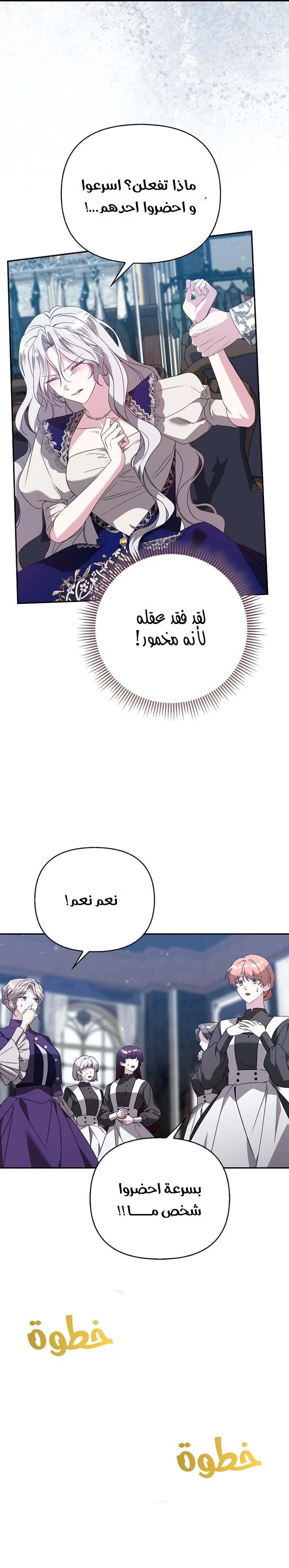 الصفحة 17