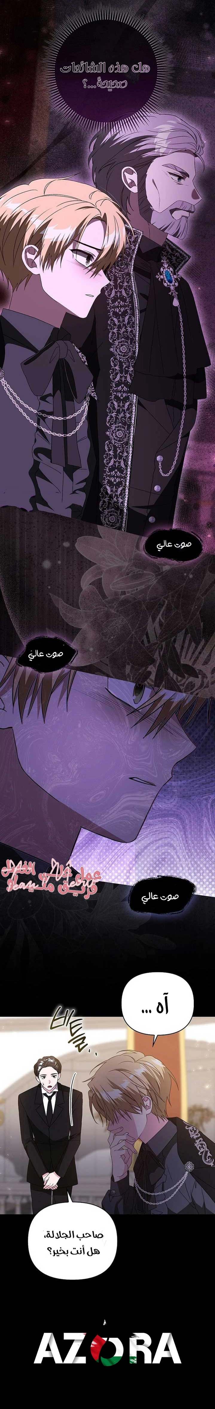 الصفحة 11