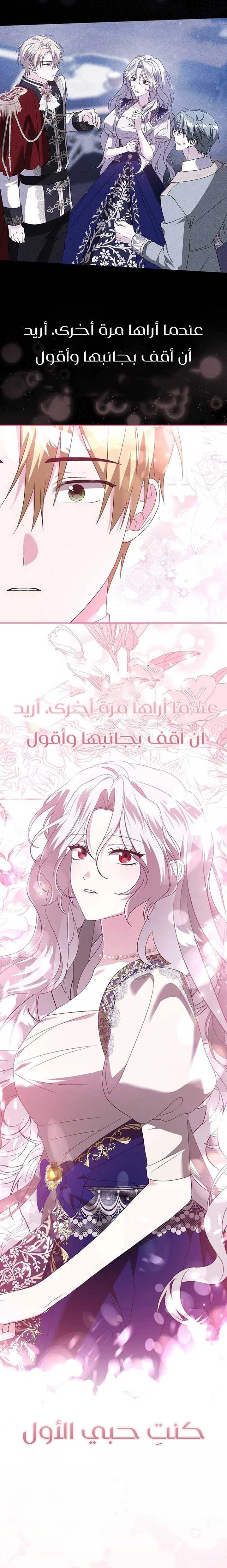 الصفحة 27