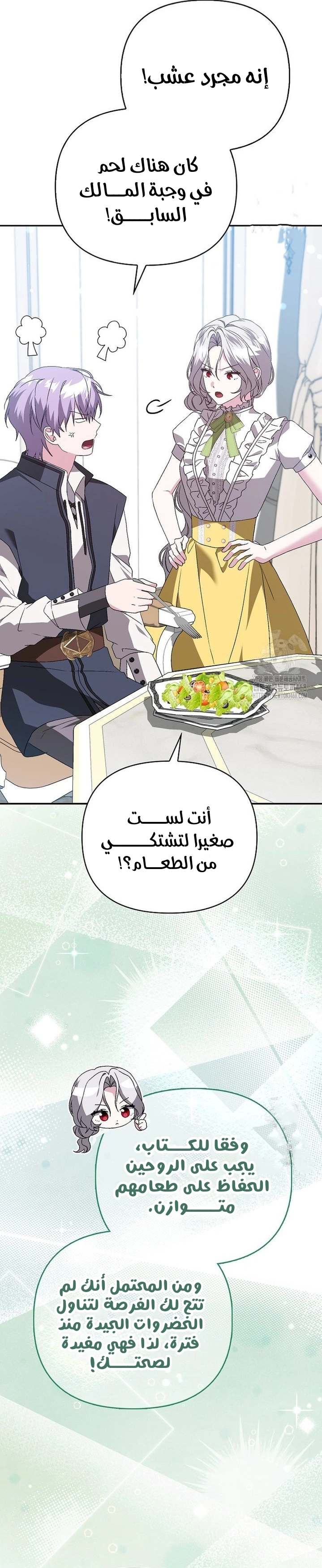 الصفحة 12