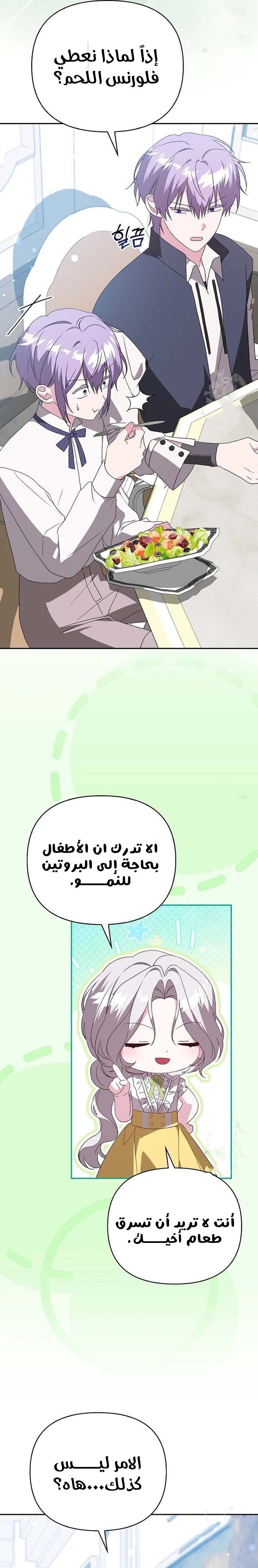الصفحة 13