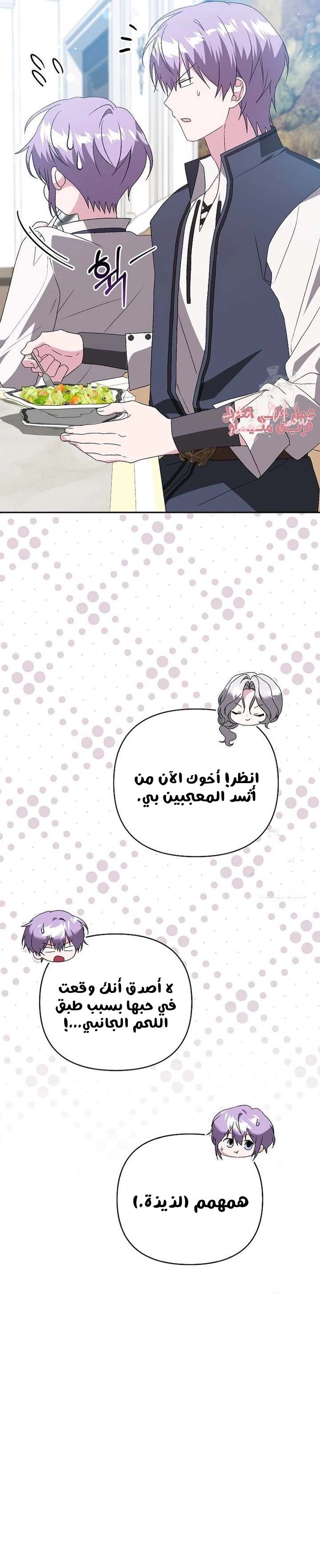 الصفحة 14