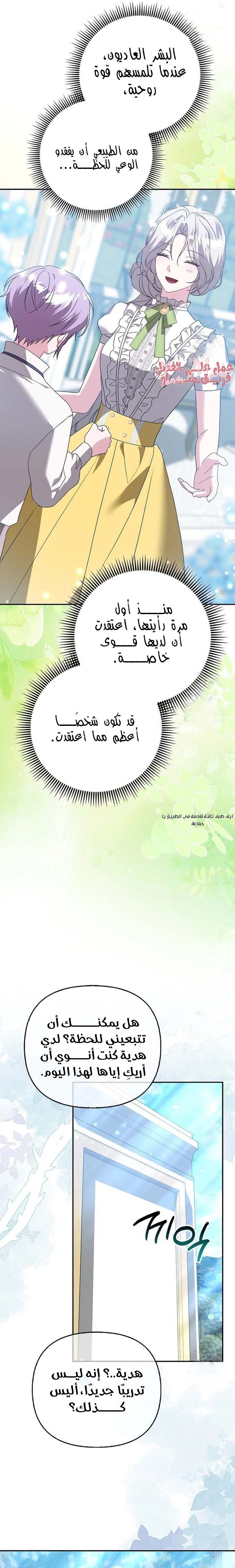 الصفحة 26