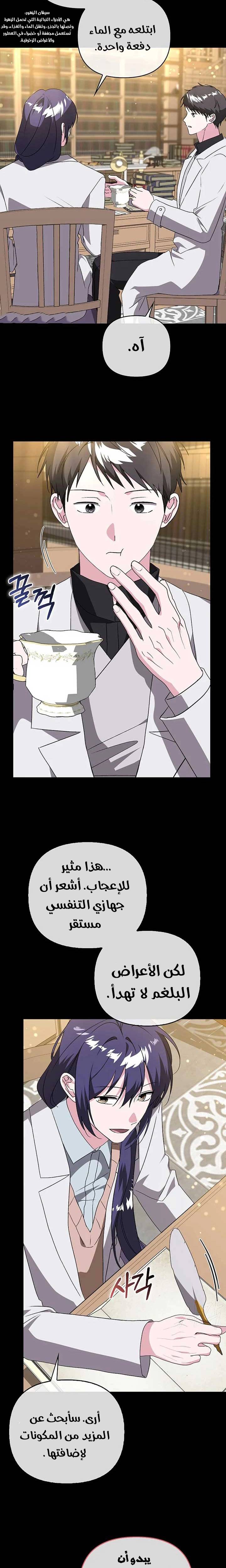 الصفحة 11