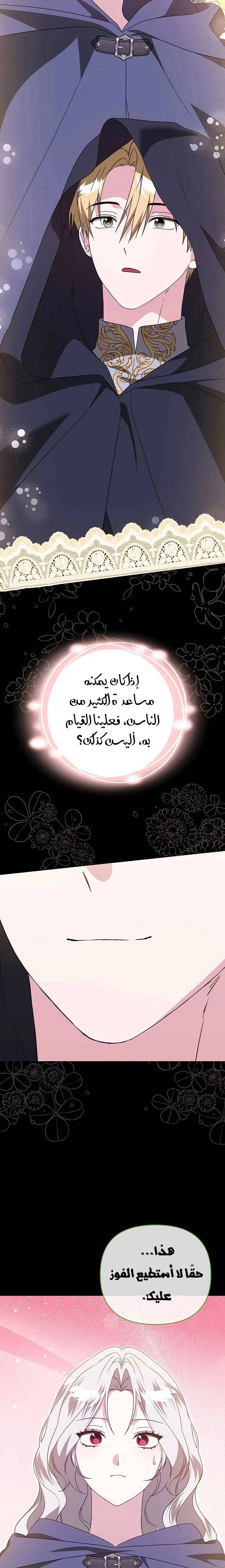 الصفحة 17