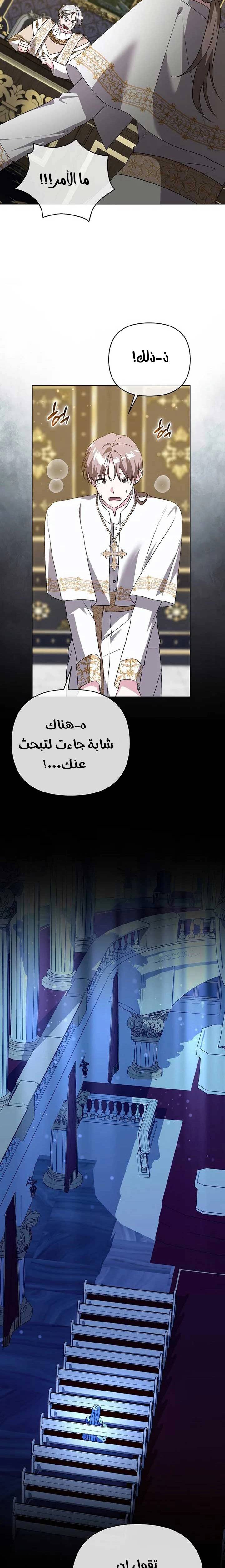 الصفحة 25